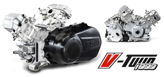 V Twin 1000 EFI motor